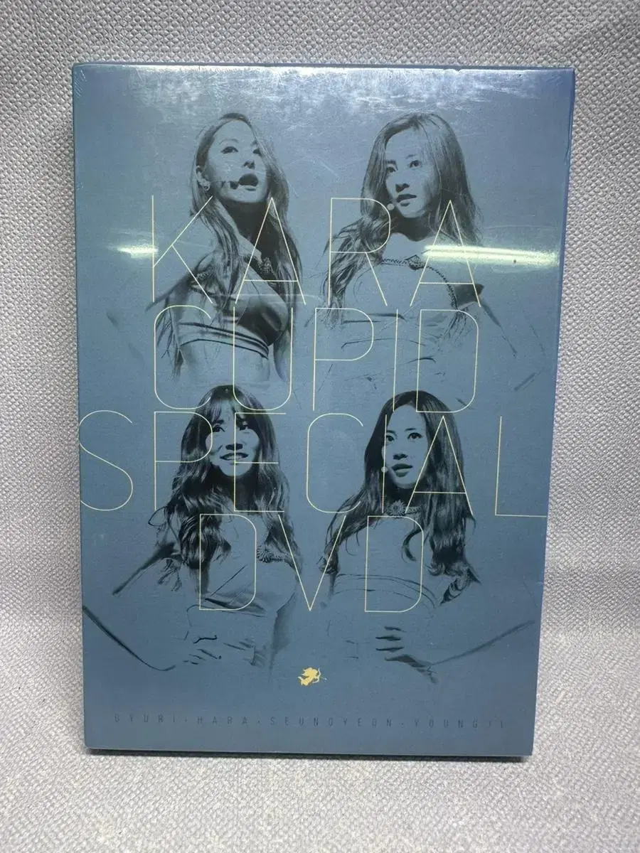 카라 CUPID SPECIAL2DVD+포토북.미개봉